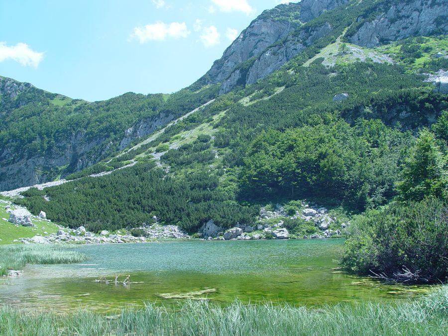 Apartments Durmitorska Vila Žabljak Esterno foto